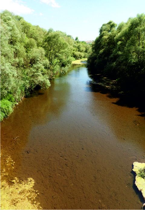 Rivers