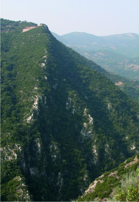 Parkadia