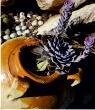 Rock garden