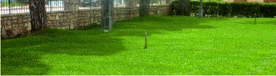 Green lawn