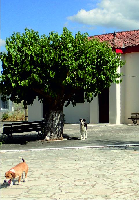 Church of Saint George