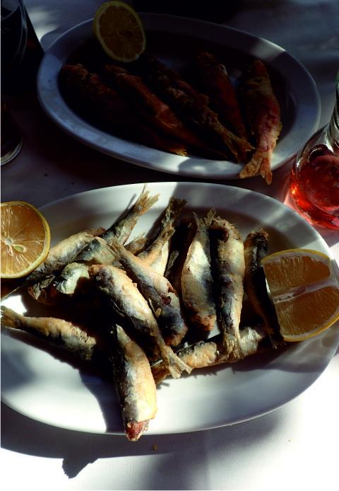 Fish