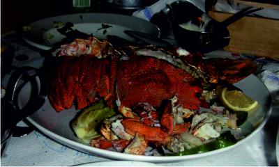 Lobster