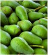 Avocados