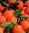 Oranges