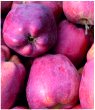 Apples