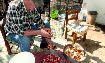 Processing pomegranates