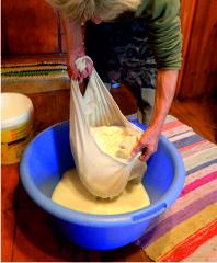 Cheese making
