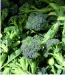 Brocoli