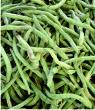 Beans