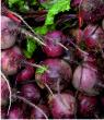 Beetroot