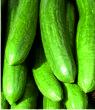 Cucumbers
