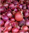 Onions