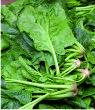 Spinach