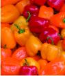 Peppers