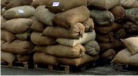 Sacks of olives