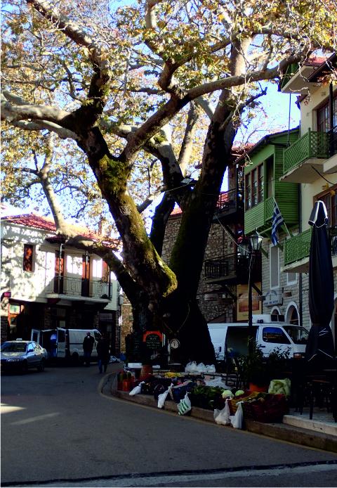 Andritsaina market