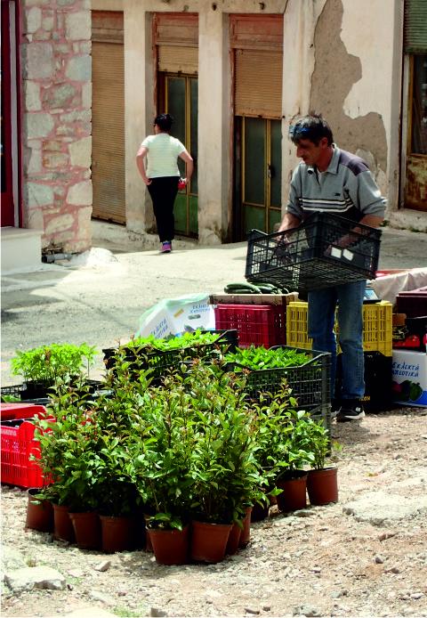 Nea Figalia market