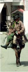Man on donkey