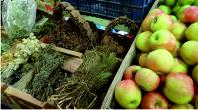 Unusual produce
