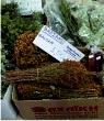 Herbs