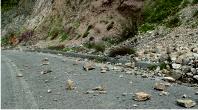 Rocks on the road
