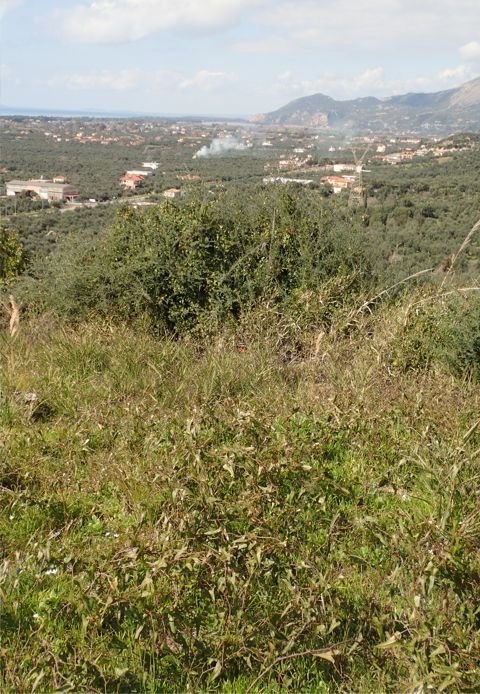 From Patras