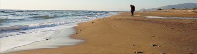 The beach