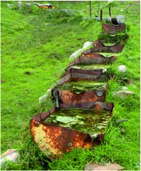 Rusty tins