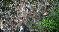 Tiled floor