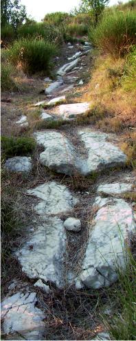 Channelled stones