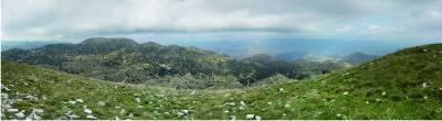 Panoramic view