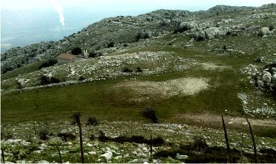 Sacred area