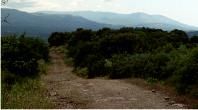 Track to the tombs