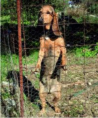 Hunting dog