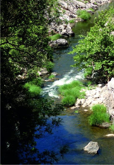 Alpheios river