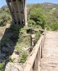 Picnic below the bridge