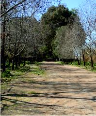 River walk