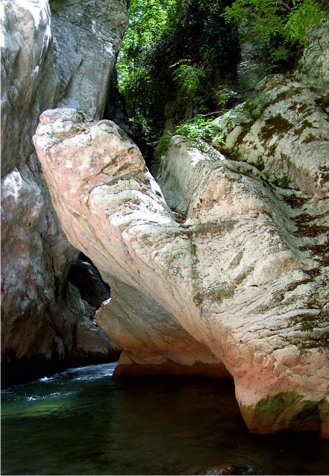Neda river