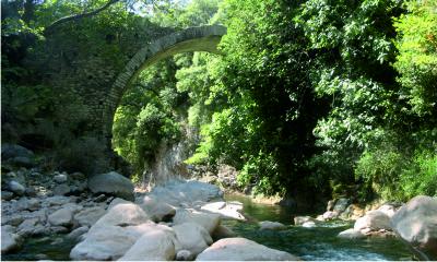 Neda river