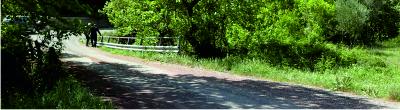 Modern day road bridge