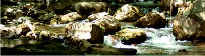 Rocks in the river