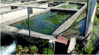 Fish farm