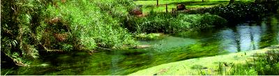 Pamisos river