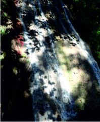 Base of the waterfall
