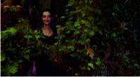 Person in foliage