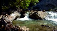 Neda river