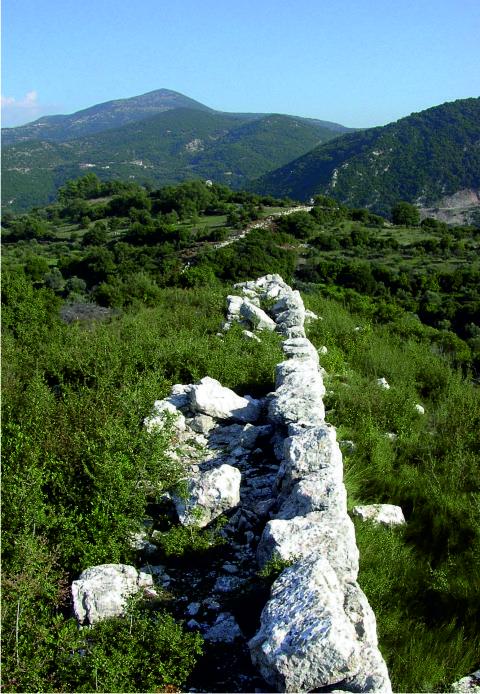 Defensive walls