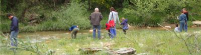 River scene