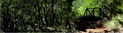 Cliff path